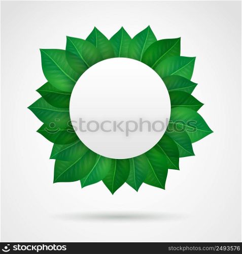 Empty leaves frame border symbol vector illustration