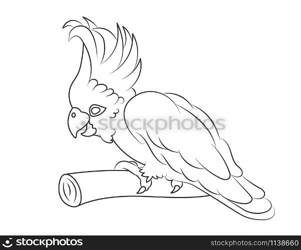 Empty outline of a parrot bird on a branch. Isolated on a white background. Flat design for postcards, scrapbooking, coloring books and decoration.