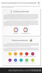 Endocannabinoids vs Phytocannabinoids vertical business infographic illustration about cannabis as herbal alternative medicine and chemical therapy, healthcare and medical science vector.