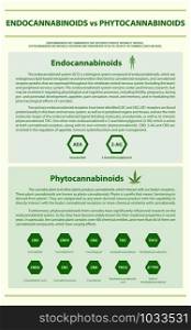Endocannabinoids vs Phytocannabinoids vertical infographic illustration about cannabis as herbal alternative medicine and chemical therapy, healthcare and medical science vector.