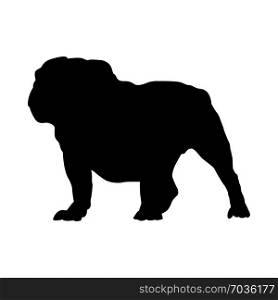 English Bulldog Dog Silhouette. Smooth Vector Illustration.