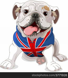 English Bulldog wearing a coat with the symbol of the English flag