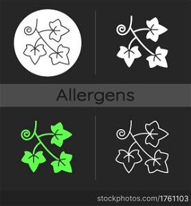 English ivy dark theme icon. Hedera helix, vine. Crawling flowering plant. Cause of allergic reaction, allergen. Linear white, simple glyph and RGB color styles. Isolated vector illustrations. English ivy dark theme icon