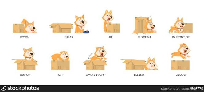 English preposition. Funny study prepositions, cartoon dog and box. Foreign language learning materials, grammar child education decent vector poster. Illustration of language english position. English preposition. Funny study prepositions, cartoon dog and box. Foreign language learning materials, grammar child education decent vector poster