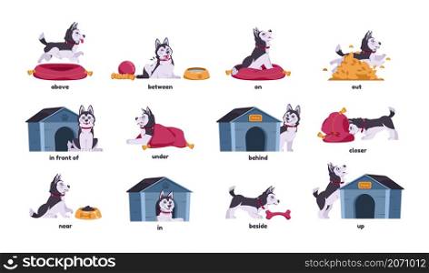 English prepositions with dogs. Cartoon puppy characters standing and sitting behind or above beside different objects. Pet in front of pillow. Cute domestic animal in booth. Vector isolated husky set. English prepositions with dogs. Cartoon puppy standing and sitting behind or above beside different objects. Pet in front of pillow. Domestic animal in booth. Vector isolated husky set