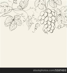 Engraving of grapes branch. Vector illustration.