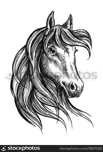Engraving sketch of gorgeous and graceful arabian stallion head symbol with long wavy forelock. Great for equestrian sporting competition or horse breeding themes design. Arabian horse with long forelock, sketch style