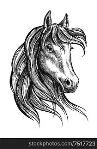 Engraving sketch of gorgeous and graceful arabian stallion head symbol with long wavy forelock. Great for equestrian sporting competition or horse breeding themes design. Arabian horse with long forelock, sketch style