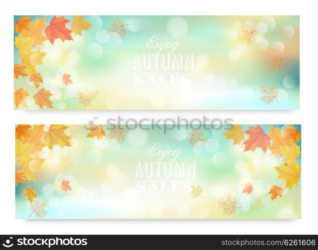 Enjoy autumn sales banners with colorful leaves. Vector.