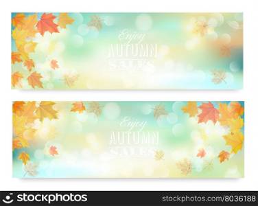 Enjoy autumn sales banners with colorful leaves. Vector.