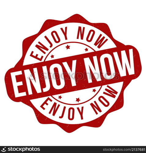 Enjoy now grunge rubber stamp on white background, vector illustration