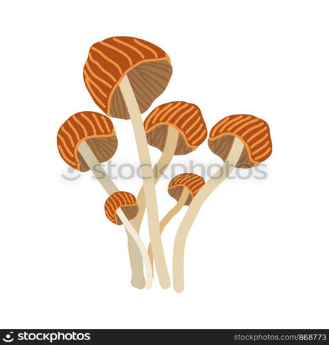 Enokitake mushroom on white background. Flat Cartoon style. Vector illustration.. Enokitake mushroom on white