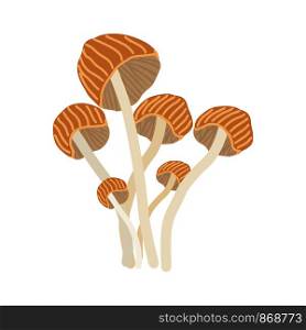 Enokitake mushroom on white background. Flat Cartoon style. Vector illustration.. Enokitake mushroom on white