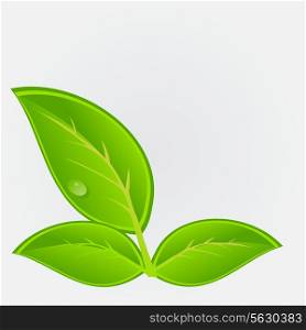 Environmental icon with plant. Vector illustration .