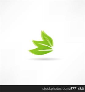 environmental leaves icon