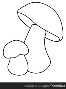 ep, Penny bun, two edible forest mushrooms - vector linear picture for coloring book, logo or pictogram. Outline. Boletus edulis, penny bun - delicacy mushrooms for icon or sign 