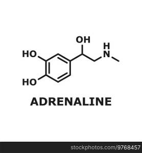 Epinephrine neurotransmitter, adrenaline molecule isolated thin line chemical structure. Vector neurotransmitter molecule, hormone chemical structure produced by adrenal glands, certain neurons. Adrenaline or adrenalin, epinephrine structure