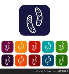 Epithelial cell icons set vector illustration in flat style in colors red, blue, green, and other. Epithelial cell icons set