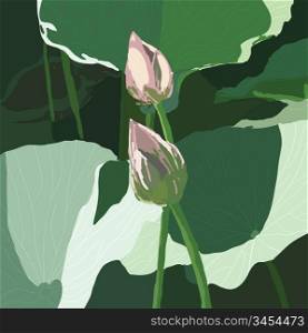 EPS 10 Realistic Oriental lotus - a flower Vector illustration.