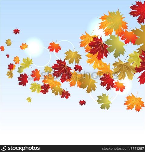 EPS10 Autumn maple leaves background. Vector illustration.. EPS10 Autumn maple leaves background. Vector illustration