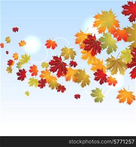 EPS10 Autumn maple leaves background. Vector illustration.. EPS10 Autumn maple leaves background. Vector illustration