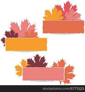 EPS10 Autumn maple leaves design. Vector illustration.. EPS10 Autumn maple leaves design. Vector illustration