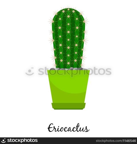 Eriocactus cactus in pot isolated on the white background, vector illustration. Eriocactus cactus in pot