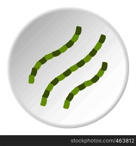 Escherichia coli icon in flat circle isolated vector illustration for web. Escherichia coli icon circle