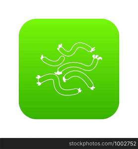 Escherichia coli virus icon green vector isolated on white background. Escherichia coli virus icon green vector