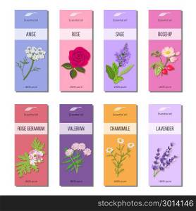 Essential oil labels collection. Rose, anise, sage, rosehip, Lavender, rose Geranium, Chamomile, Valerian. Essential oil labels set. Rose, anise, sage, rosehip, Lavender, rose Geranium, Chamomile, Valerian herb. 8 stripes collection For cosmetics perfume health care products aromatherapy