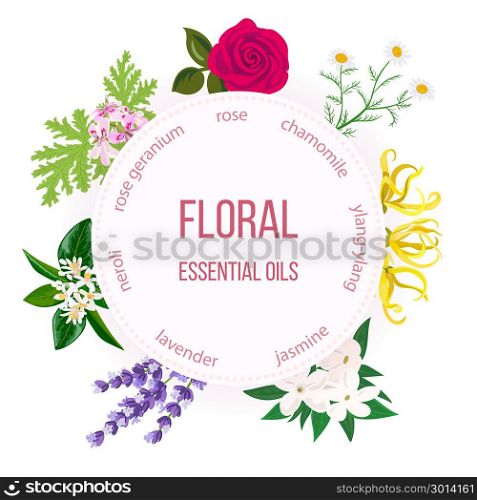 Essential oil round emblem. Rose, Chamomile, jasmine, Ylang-ylang, , neroli, Lavender, rose Geranium. Essential oil labels set. Rose, Chamomile, jasmine, Ylang-ylang, , neroli, Lavender, rose Geranium. Round emblem. For cosmetics perfume health care products spa aromatherapy spa advertising tag