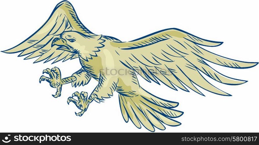 Etching engraving handmade style illustration of a bald eagle swooping viewed from the side set on isolated white background. . Bald Eagle Swooping Etching