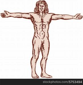 Etching engraving handmade style illustration of vitruvian man with arms spread to the side facing front set on isolated white background. . Vitruvian Man Arms Spread Front Etching