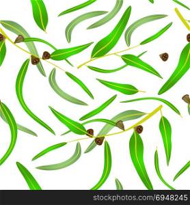 eucalyprus seamless pattern. Seamless pattern with eucalyptus leaves and seeds.Vector illustration