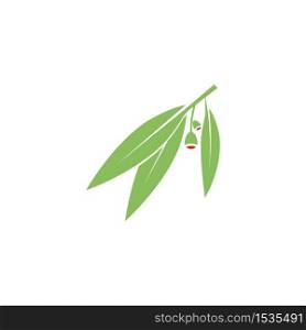 eucalyptu leaf vector illustration design template