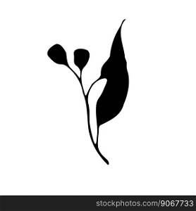 Eucalyptus black flower and leaf silhouette vector graphic flat illustration. Hand drawn vector design element.