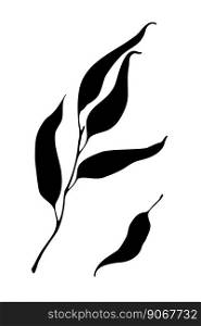 Eucalyptus black leaves and branch silhouette illustration, hand drawn vector design element.