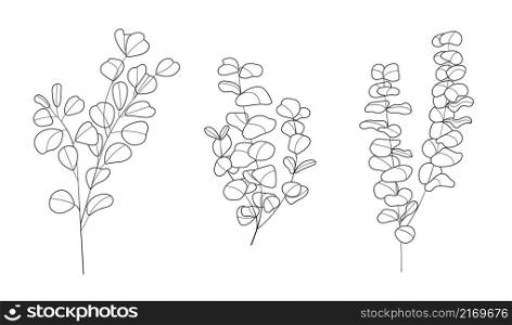 Eucalyptus branch vector in line art style. Bohemian eucalyptus leaves, plant on isolated background. Minimal, simple botany, floral, organic icon.. Eucalyptus branch vector in line art style. Bohemian eucalyptus leaves, plant on isolated background. Minimal, simple botany, floral