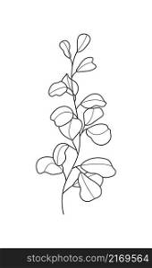 Eucalyptus branch vector in line style. Bohemian eucalyptus leaves, plant on isolated background.