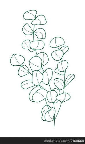 Eucalyptus branch vector in line style. Bohemian eucalyptus leaves, plant on isolated background.