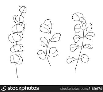 Eucalyptus branch vector set in line art style. Bohemian eucalyptus leaves, plant on isolated background. Minimal, simple botany, floral, organic icon.. Eucalyptus branch vector in line art style. Bohemian eucalyptus leaves, plant on isolated background. Minimal, simple botany, floral