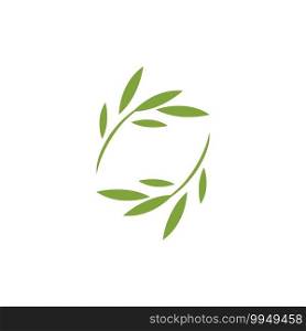 Eucalyptus leaf logo vector design