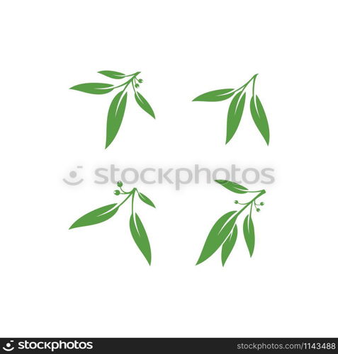 Eucalyptus leaves floral logo vector template design