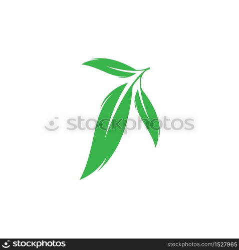 Eucalyptus leaves logo vector template design illustration