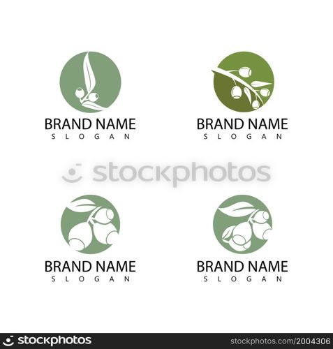 Eucalyptus leaves logo vector template design illustration