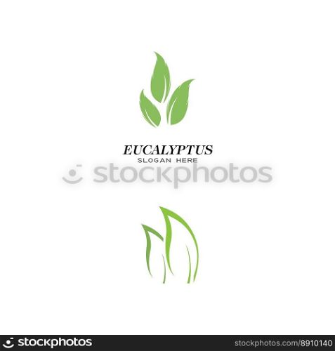 Eucalyptus leaves logo vector template design illustration