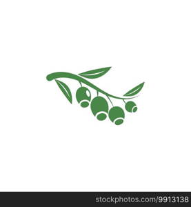 Eucalyptus leaves logo vector template design illustration