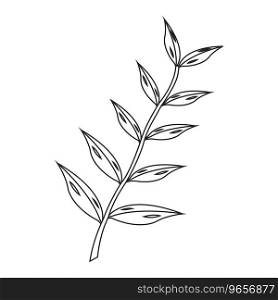 Eucalyptus oil leaf icon,vector illustration logo design
