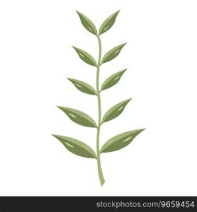 Eucalyptus oil leaf icon,vector illustration logo design