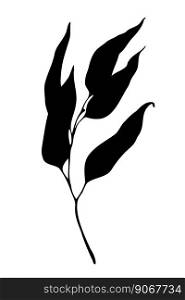 Eucalyptus or willow black leaf silhouette illustration. Hand drawn vector design element.